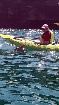 Kayak Tour Rescues Baby Fawn from Drowning