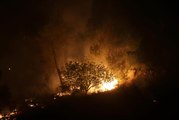 Batı Kudüs'teki ormanlık alanda çıkan yangınlar ikinci gününde devam ediyor (3)