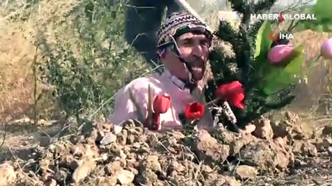 Fidan dikimine dikkat çekmek için kendini toprağa gömdü
