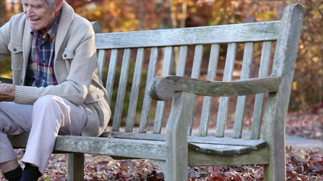 Texas Animal Shelter's Seniors for Seniors Program Connects Pets and People Who Need Each Other Most