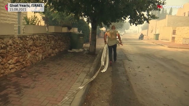 Israël : 2 000 hectares partent en fumée en deux jours dans des feux de forêt