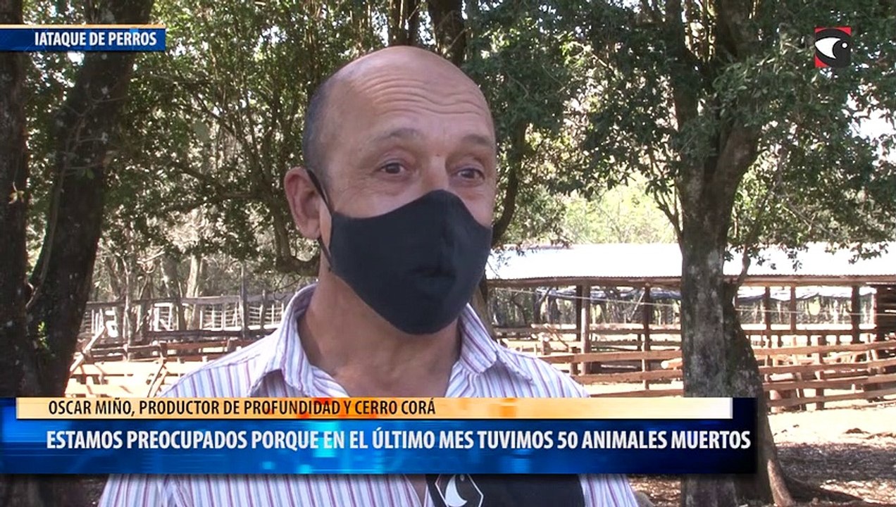 Estamos preocupados porque en el último mes tuvimos 50 animales muertos