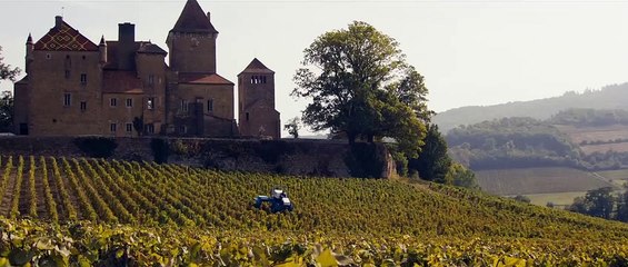 Premiers crus (2015) - Bande annonce