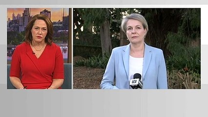 Shadow Education Minister Tanya Plibersek say she is worried about the women and girls in Afghanistan