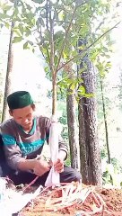 20210817_081337519.mp4_play.mp4_logo_ID