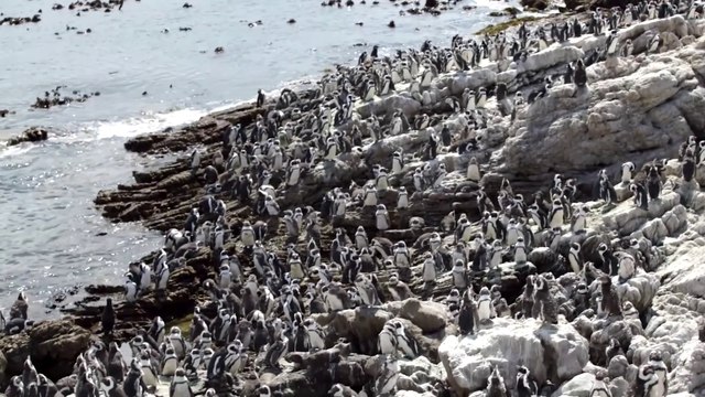 SummerMix ,Mega MashUp, Deep House, Vocal House, Nu Disco, Chillout _ Get Relax - Mega Hits 2020 The Best Of Vocal Deep House Music Mix 2020 Summer Music Mix 2020 #37