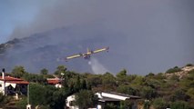 Wieder Waldbrände nahe Athen
