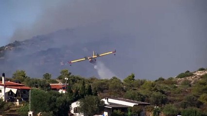 Download Video: Wieder Waldbrände nahe Athen