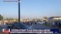 Afghans at Kabul airport run from Taliban gunfire _ LiveNOW from FOX