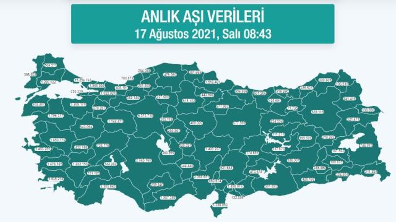 Hangi ilde ne kadar aşı yapıldı? İstanbul, Ankara, İzmir, Bursa, Adana, Samsun aşı sayıları ve aşı haritası! 17 Ağustos günlük aşı ve doz sayıları!