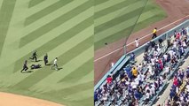 'BRAVE Ball Girl Helps Security Catch Field Runner at Dodger Baseball Stadium'