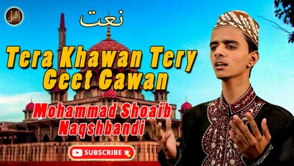 Tera Khawan Tery Geet Gawan | Naat | Prophet Mohammad PBH |  Mohammad Shoaib Naqshbandi