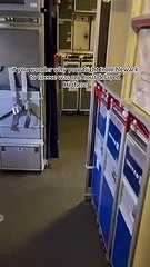 Pomba atrasa voo em Newark