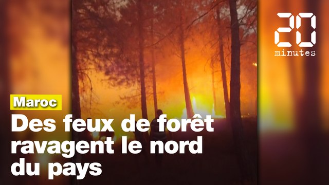 Maroc: Des feux de forêt ravagent le nord du pays