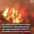 Wildfires rage in Algeria