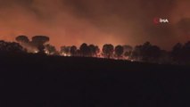 Son Dakika | Fransa'nın güneyinde orman yangını