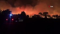 Fransa'nın güneyinde orman yangını: 5 bin hektarlık alan yandı