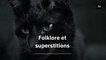 Folklore et superstitions du chat noir : explications