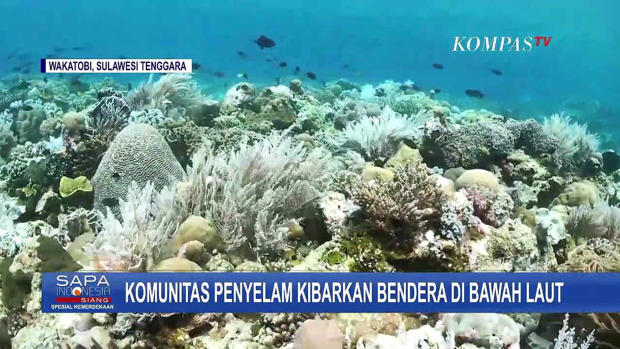 Momen Pengibaran Bendera Merah-Putih di Bawah Laut oleh Komunitas Penyelam