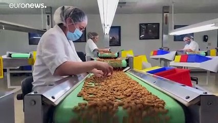 Aszály miatt veszélyben a kaliforniai mandula, ami növelheti az árakat