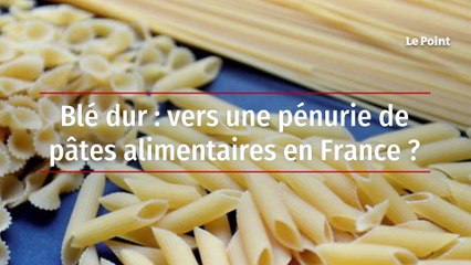 Blé dur : vers une pénurie de pâtes alimentaires en France ?