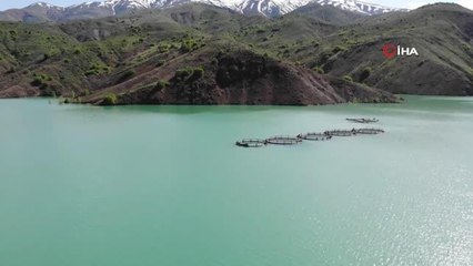 Erzincan'da alabalık üretimi ivme kazandı
