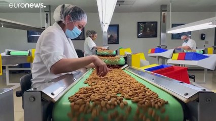 Калифорния: засуха может привести к дефициту миндаля в мире