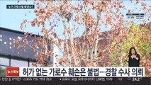 가로수 고사 '미스터리'…경찰 수사 착수