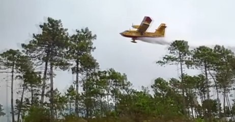 Framura (SP) - Incendio boschivo, il lavoro incessante dei Canadair (17.08.21)
