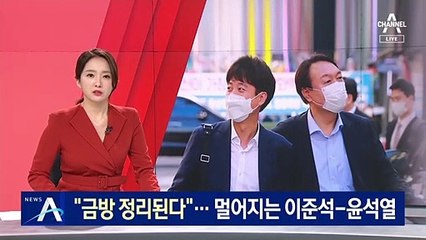 “금방 정리된다” 파문…멀어지는 이준석-윤석열