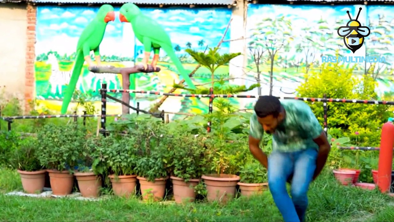 31 Must Watch Best Comedy Video | Try Not To Laugh Challenge | Top New Very Funny Video RAS Multimedia