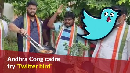 Andhra Cong cadre fry 'Twitter bird' to protest action against Rahul Gandhi