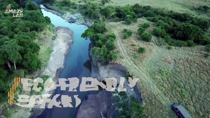 Electric, Eco-Friendly Safari Jeeps Let Tourists Get Closer to Animals With Less Environmental Impact