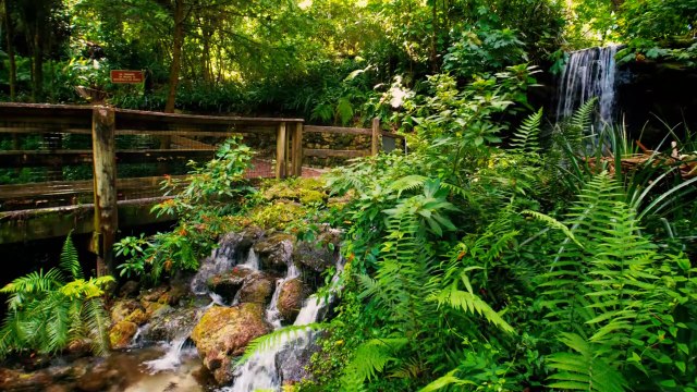 Rainbow Springs State Park Full Walking Tour 2021 (Dunnellon, FL) - Cinematic 4K Travel VLOG Video & Review