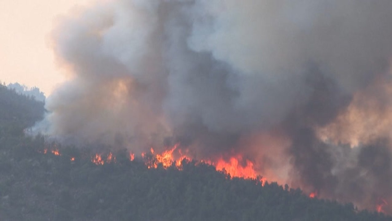 More than 1,700 acres of forest burned in wildfire