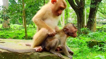 24=Why You Cry Ronnie.. Baby Ronnie Cry Loudly Cos Very Hungry Fruits