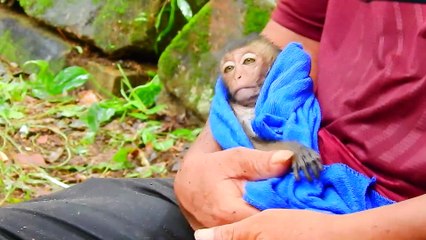 s1=Why Sankra Want To Kill Poor Baby Ronnie Almost Die Very .. Very Sad