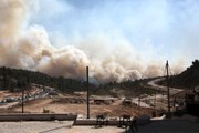 Kudüs'teki orman yangınında 25 bin dönüm alan kül oldu