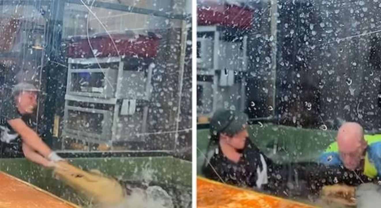 Şov yaptığı timsah, kadın bakıcıya dehşeti yaşattı! Elinden yakalayıp suyun içine çektiği anlar saniye saniye kaydedildi