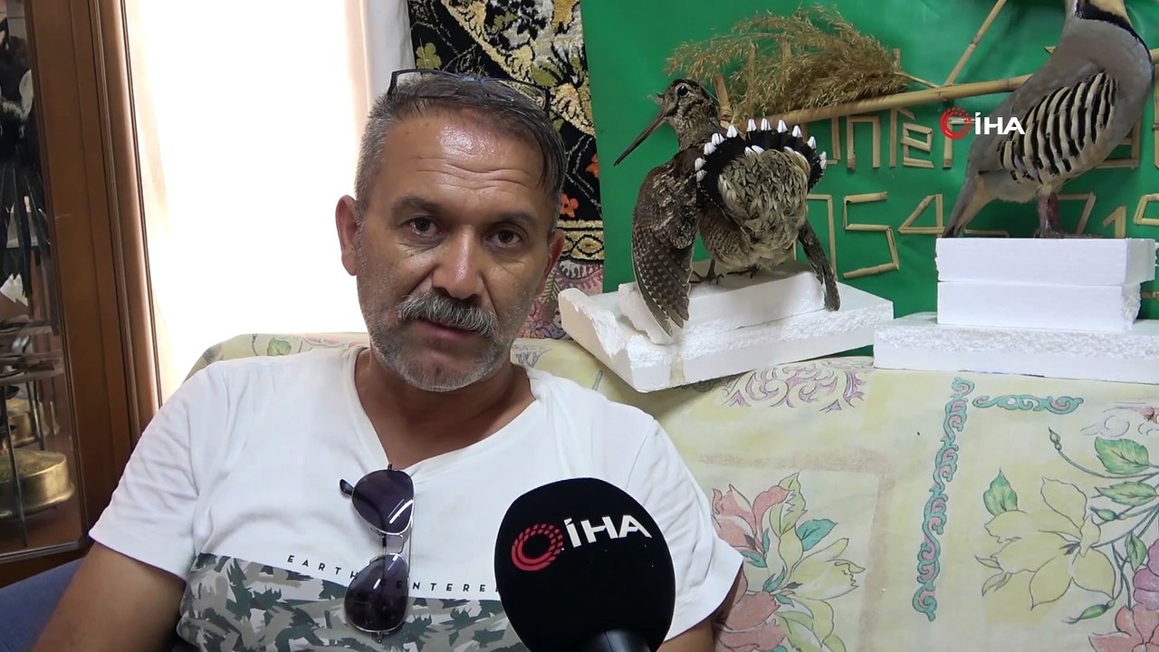 Tahnit ustası av köşkünde doldurduğu kanatlı hayvanları sergiliyor
