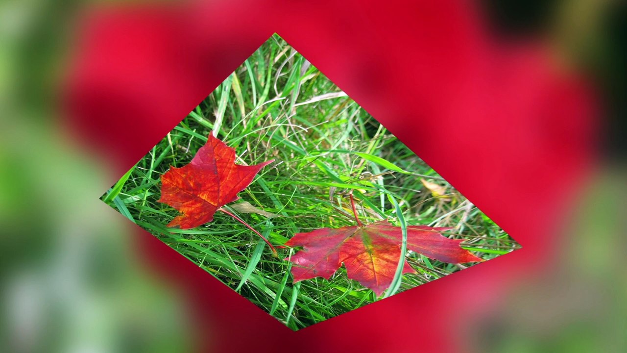 Auszug aus: Das Ende der Geschichte