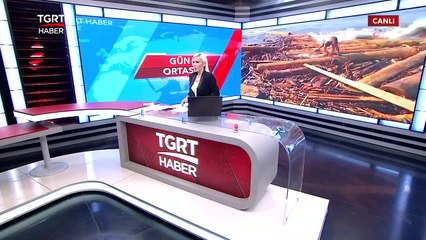 Ahırın Enkazından Günler Sonra Canlı Çıkarıldı: Görüntüler Sinop'tan - TGRT Haber