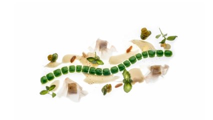 Los 10 Mejores Restaurantes del Mundo ️