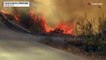 Portugal  : un violent incendie touche la région de l'Algarve