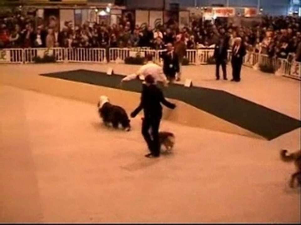 MONTAGE SALON AGRICULTURE 2008
