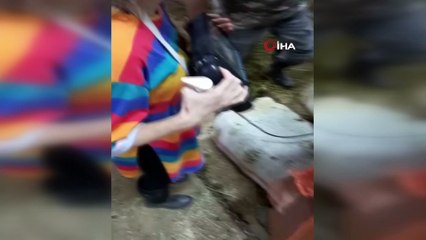 Ölümden kurtulan atlardan sevindirici haberler gelmeye devam ediyor