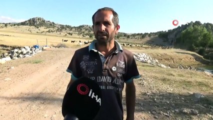 Konya’ya göç eden Manavgatlı besicinin hayvanlarını yanmaktan kurtardı