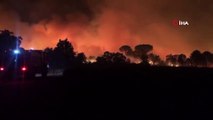 - Fransa'nın güneyinde orman yangını- Yaklaşık 5 bin hektarlık alan kül oldu