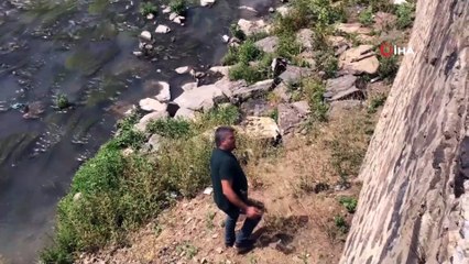 Kars Çayı’nda mahsur kalan yavru köpeği gazeteciler kurtardı