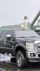 Is the Dog on Top of the Truck a Statue or Real?